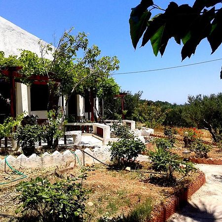 Sunrise Apartments Palekastro Luaran gambar