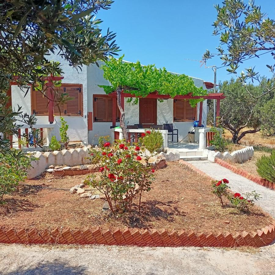 Sunrise Apartments Palekastro Luaran gambar