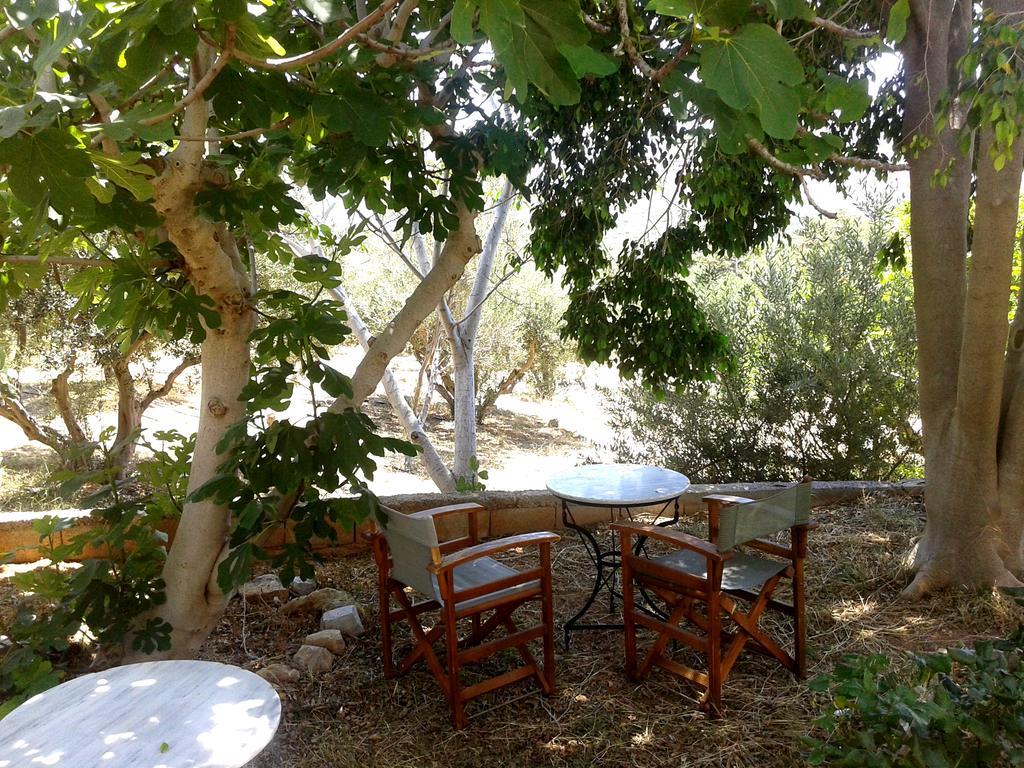 Sunrise Apartments Palekastro Luaran gambar